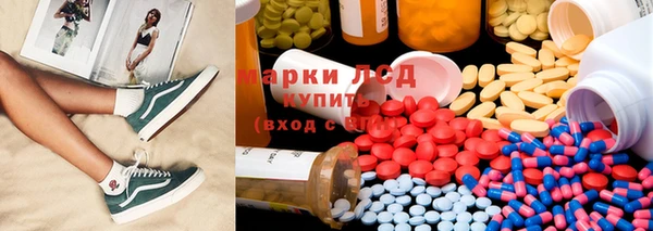 ГАЛЛЮЦИНОГЕННЫЕ ГРИБЫ Алзамай