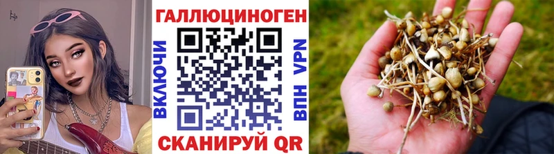 Галлюциногенные грибы прущие грибы  наркотики  Камень-на-Оби 