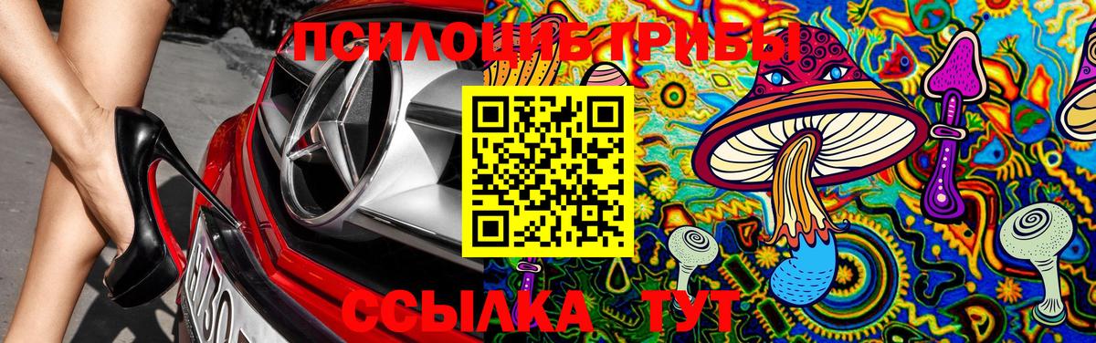 Галлюциногенные грибы GOLDEN TEACHER Камень-на-Оби