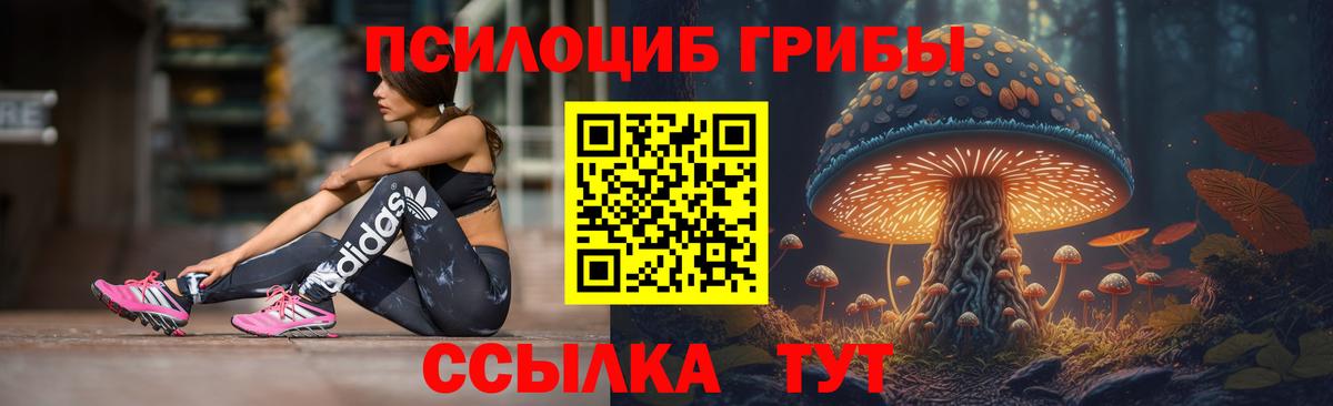 Камень-на-Оби  Галлюциногенные грибы Psilocybe  Вход с VPN  Галлюциногенные грибы прущие грибы 